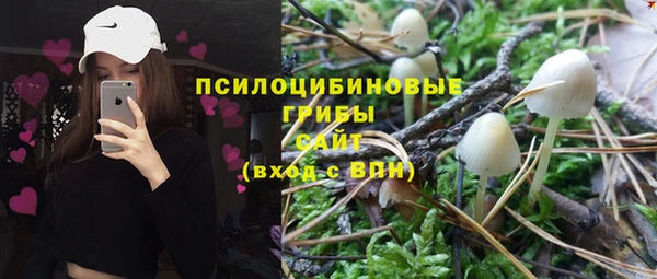 крисы Армянск