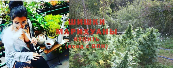 крисы Армянск