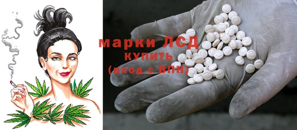 крисы Армянск