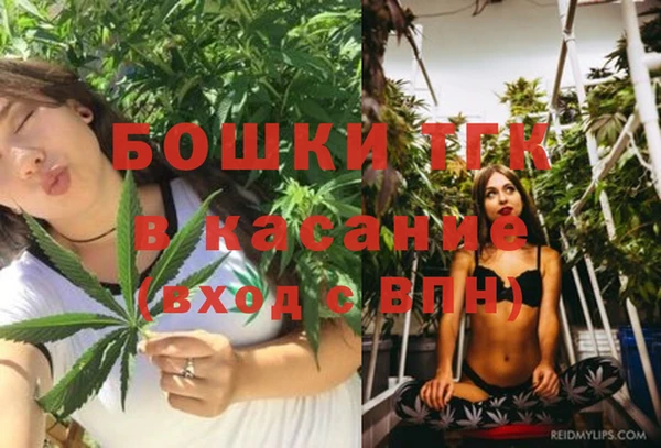 крисы Армянск